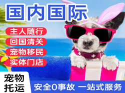吐鲁番交河机场物流国际宠物托运 【国